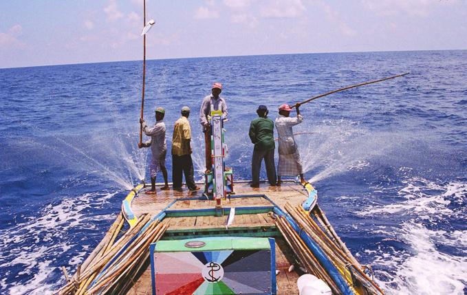 82 Status and perspectives in marine fisheries research in India the hooks and line are popular off southwest coast.