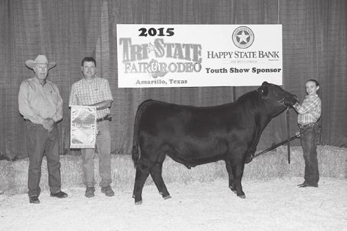 He was selected Grand Bull at the 2015 Tri-State Fair at Amarillo, TX. His performance is splendid! Actual BW 74 lbs. and Actual WW 831.