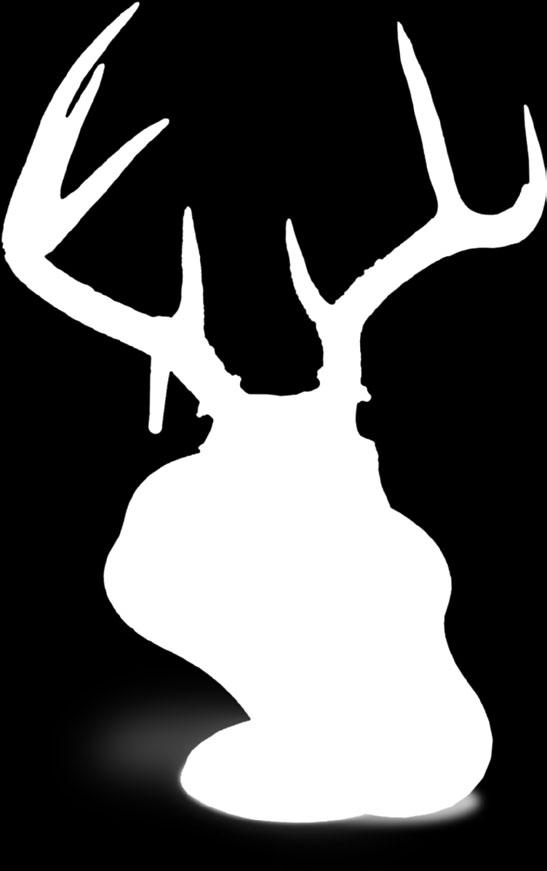 00 If we are shipping your trophies, we recommend not mounting Horned and Antlered skulls to the pedestal, as this will only raise shipping costs and increase the risk of damaging your trophy.