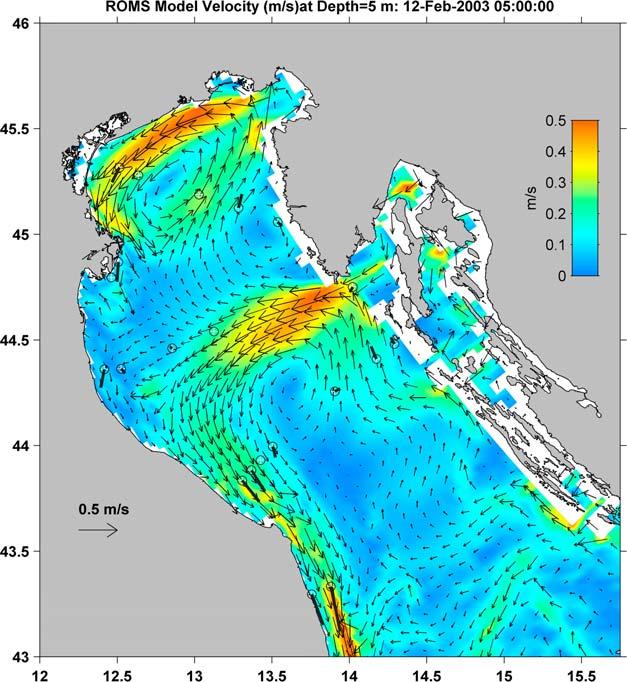 Figure 2. Circulation at 5 m depth from the Ocean Modeling System (ROMS) hydrodynamic and sediment transport model described by Harris et al. [2008].