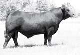 Possession owned by Sugar Bush Cattle, Inc. and Milam 1.3 102 36 2 0. 11 6 0.12 0. 0.0 61 Cattle Co.