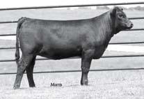 She is the leading female raised by Edwards Land & Cattle Co.