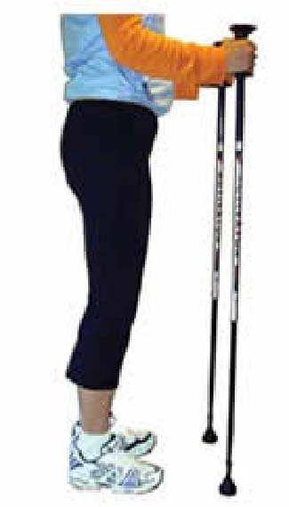 Step 2 - Stand tall with your poles, placing your elbows at your sides and at a 90- degree angle. Ensure the poles are always completely upright. Keep the elbows bent the entire time you are walking.