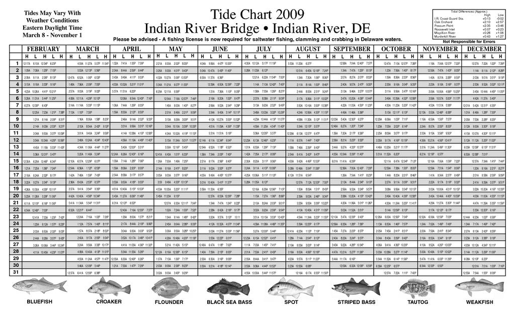 Tides are important for fishermen Note that while weather can only be predicted for a few