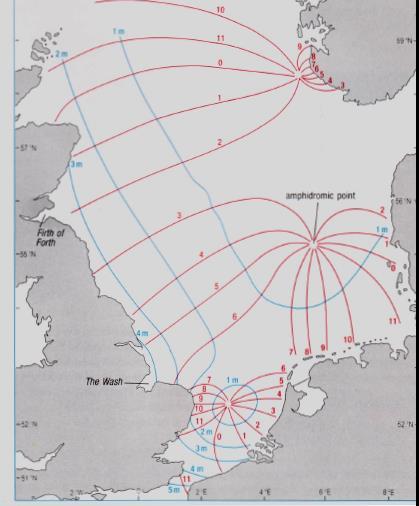 Semidiurnal tide in the North Sea ( Amphidromic System ) Co-tidal lines: points with the same tidal stage (phase)