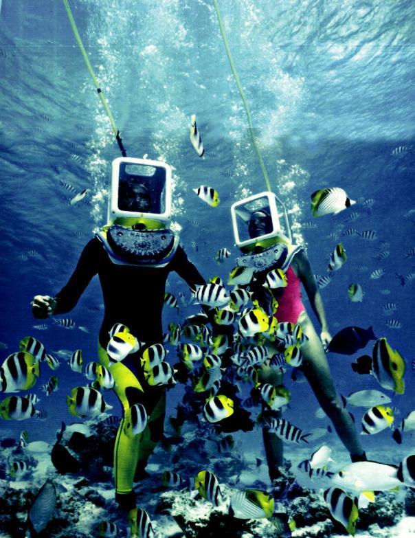 AQUASAFARI The Helmet dive: Discover the undersea life of Bora Bora in only 3 meters (10 feet) deep surrounded by hundreds of fish with your head dry.