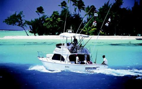 LUNA SEA PRIVATE FISHING BOAT The captain and the crew of the Luna Sea, with their 20 years of fishing experience, welcome you to discover the deep sea fishing.