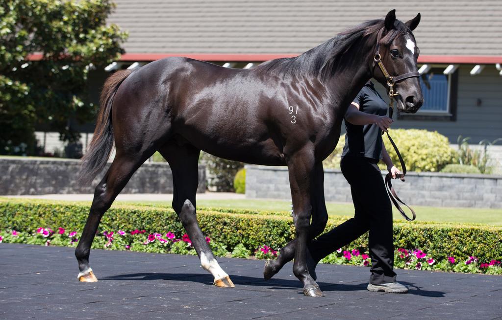 Spotlight on Karaka 2015: Redwood s First Yearlings THE INSIDE WORD 28 NOVEMBER 2014 Each week leading up to the 2015 NZB Yearling Sale we will take a look at some of the offerings from Westbury Stud