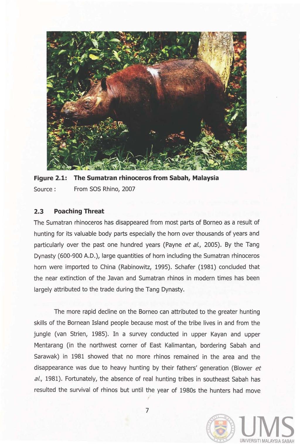 Figure 2.1: The Sumatran rhinoceros from Sabah, Malaysia Source: From SOS Rhino, 2007 2.