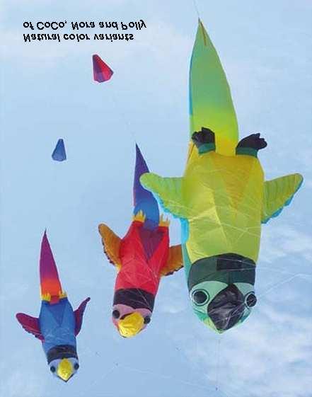The story of how the kite evolved and images of the larger version can be found using the following link: http://www.drachenbernhard.de/dra_coco%20&%20nora.html List of Materials: Ripstop Nylon, 0.