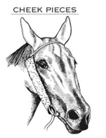Blinkers means a garment fitted over a horse's head with holes for the eyes and ears, one or