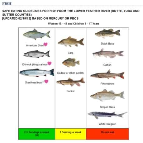 Fish Advisory for Lower Feather River