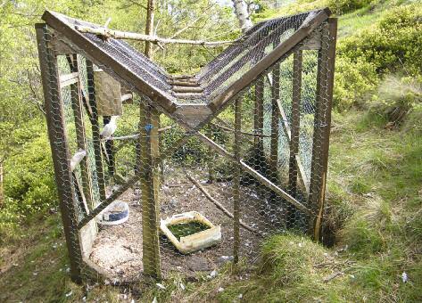Case studies Peak District gamekeeper convicted by RSPB covert film evidence G Shorrock (RSPB) Cage trap on Howden Moor, Derbyshire, containing a live pigeon bait.