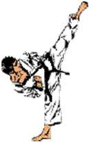 /4/01 The Physics of Martial Arts Application of Classical Mechanics to the Martial Arts.