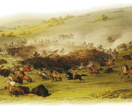 These Native Americans survived by hunting the buffalo that roamed through the grasslands. The wild and dry land was good enough for the people planning railroads, however.
