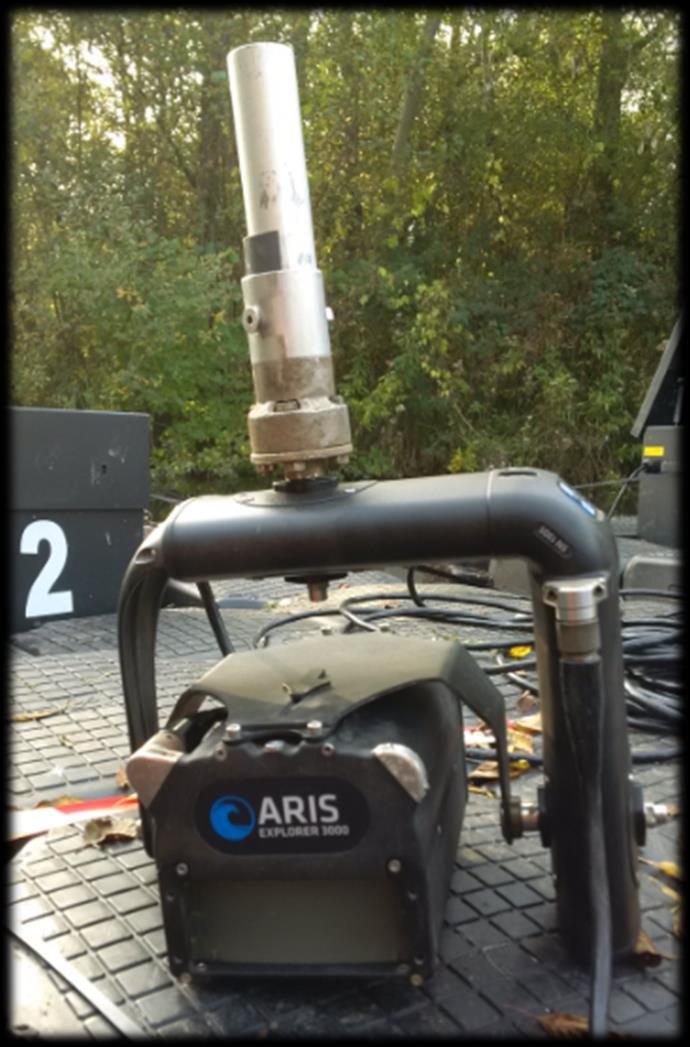 ARIS setup, collecting real time data An investigation into the distribution of fish populations