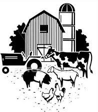 TUESDAY, AUGUST 9 8:00 SHEEP Breed Show... Livestock Barn 9:00 DRAFT HORSE, HAFLINGER, PONY & MINI Halter Show...Horse Arena 9:00 Jr. DAIRY Showmanship & Type Show...Dairy Tent 9:00 Jr.