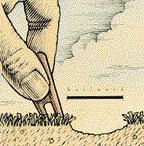 Try not to tear the grass. Step 2: Insert the repair tool at the edges of the mark; not the middle of the depression. Step 4: Smooth the surface with a club or your foot.