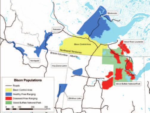 populations. Photo Credit: Troy Ellsworth Figure 2: Wood bison populations in northwestern Canada. (The Aishihik population in western Yukon is not shown.