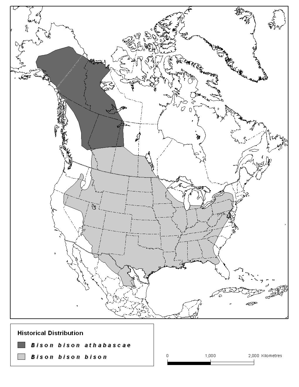 Figure 4. Historical (pre-settlement) distribution of Wood Bison and Plains Bison in North America.