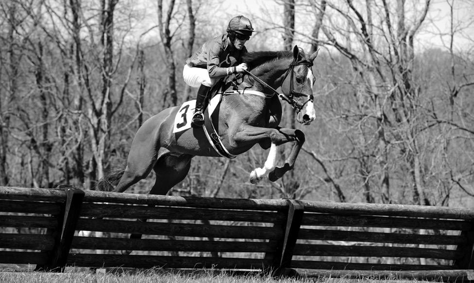 WARRENTON HUNT HUNTER PACE EVENTS Saturday, April 22, 2017 Location to be decided. HUNTER PACE EVENT OVER FENCES 1:00 p.m. Open to pairs.