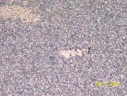 Chapter 3 Roadway Features Survey The Roadway Maintenance Survey Form includes roadway surfaces and shoulders, both paved and unpaved, roadside,