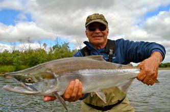 As with king salmon, they will take flies on the swing, but they are also VERY top water oriented. This can be a blast using pink wogs, poppers and even mouse patterns.