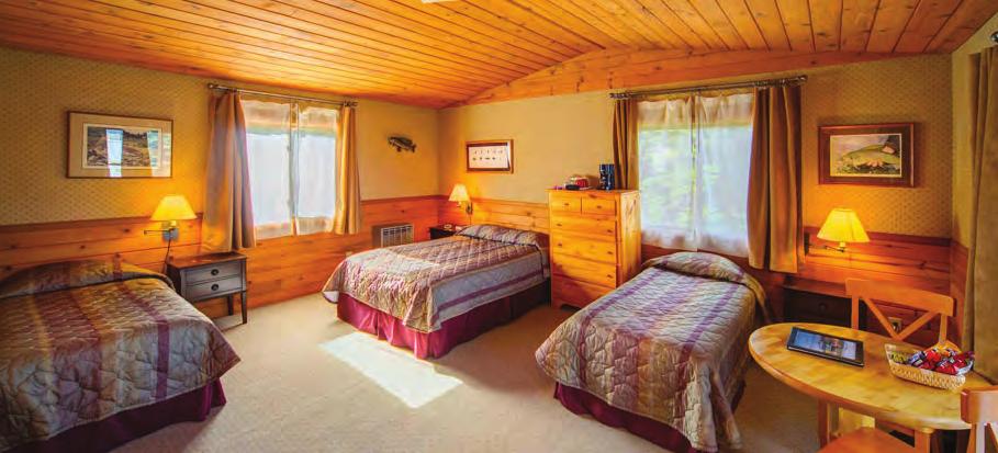Our cabins are fully carpeted and have queen and single beds.