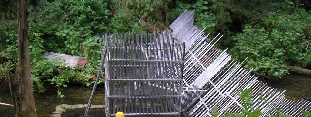 Figure 13. Photo of the Neva Creek weir and trap (under construction).