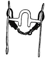 A curb bit must be used with a curb strap or curb chain properly attached so as to make contact with horse s chin.