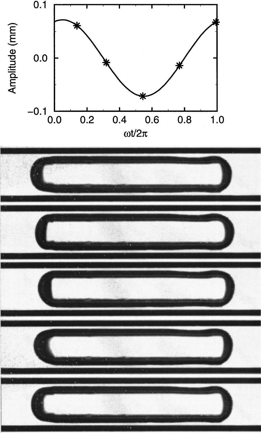 FIG. 4. Sample sequences of gas-bubble oscillations at 150 Hz for the water Triton-X-100 solution in the 1-mm-diameter tube. The bubble resonance frequency is 189 Hz.