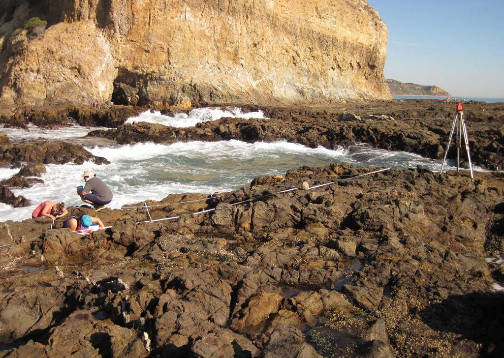Multi-Agency Rocky Intertidal Network (MARINe) researchers monitor a rocky intertidal ecosystem on the Palos Verdes Peninsula.