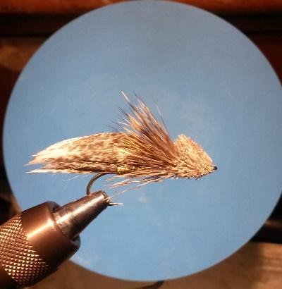 This month s presentation is about PVFF member Bill Kulp s quest to catch stripers on a fly.