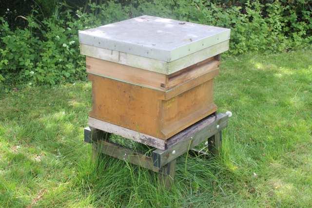 Honey Home brood box in use at the BBKA apiary Stoneleigh, Warwickshire. May 2015.