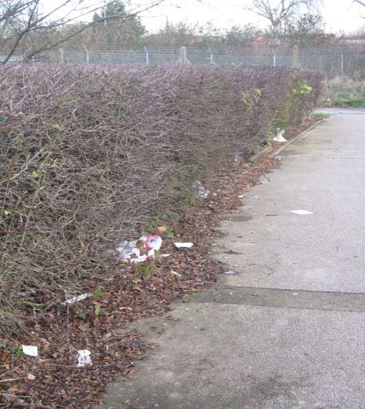 Litter Picking To ensure the towns and villages in your community looks attractive and are kept