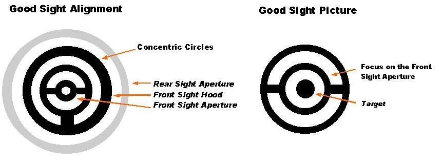 C) Accuracy Accuracy is being able to consistently place shots in the same group, and it relies on consistent correct sight alignment and sight picture.