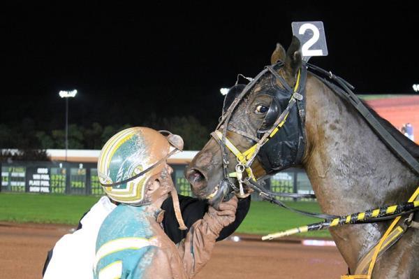 Foiled Again bay, gelding, 11, by Dragon Again In A Safe Place-Artsplace The richest Standardbred in the history of harness racing with earnings of $7,181,411, this 11-year-old bay gelded son of