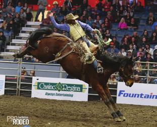 competitions and sales Dryland farm and livestock equipment displays Pro Rodeo entertainment Canadian Western Agribition showcases world