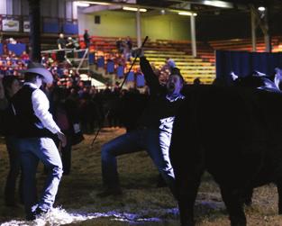 opportunity to host the best of the best at the RBC Beef Supreme Challenge.