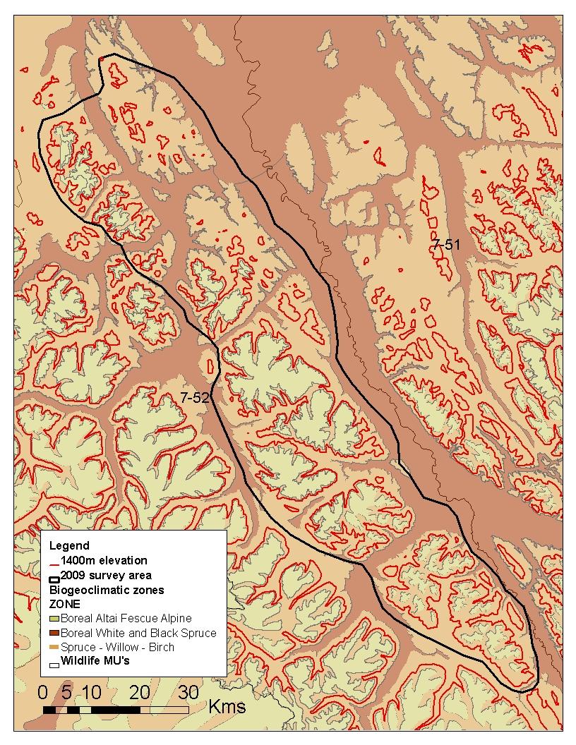Three biogeoclimatic zones are represented within MU 7-52, the Boreal White and Black Spruce (BWBS), the Spruce Willow Birch (SWB), and the Boreal Altai Fescue Alpine Zone (BAFA) (Figure 3).
