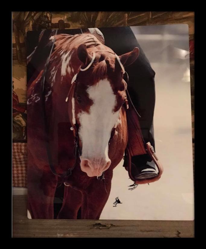 JUNE TABOR'S SPECIAL OFFER The third SVAC show is coming up August 27th. June Tabor once again will offer a FREE 8x10 metal photo (value is 55.00) of your horse.