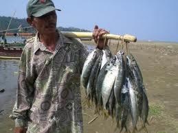 Indonesia s Fisheries sector