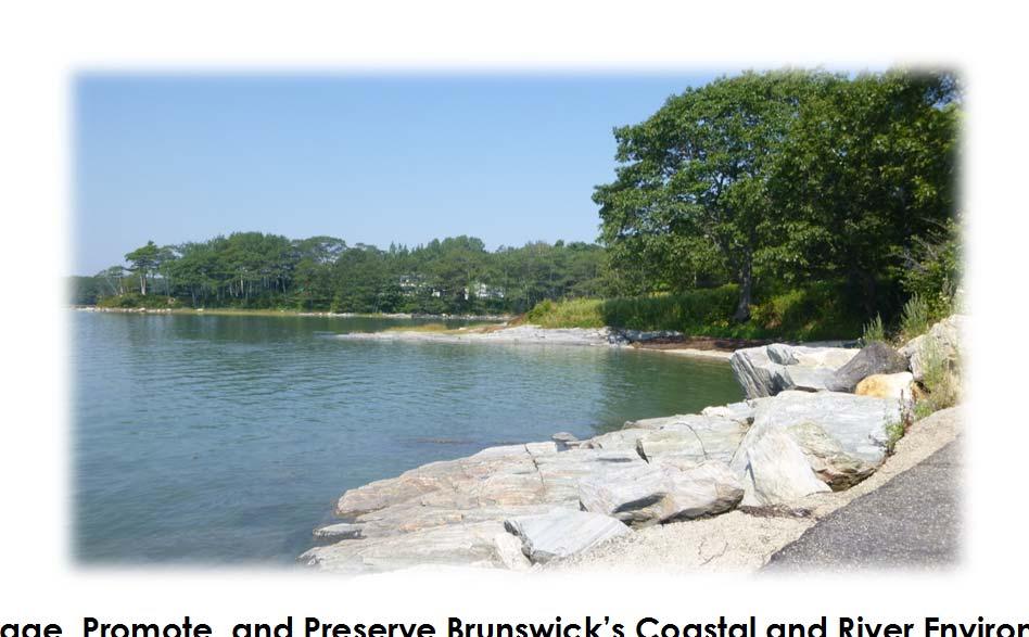 4. Manage, Promote, and Preserve Brunswick s Coastal and River Environment Establishing a long-term successful course for Brunswick s Coastal and River environment will require effective management,