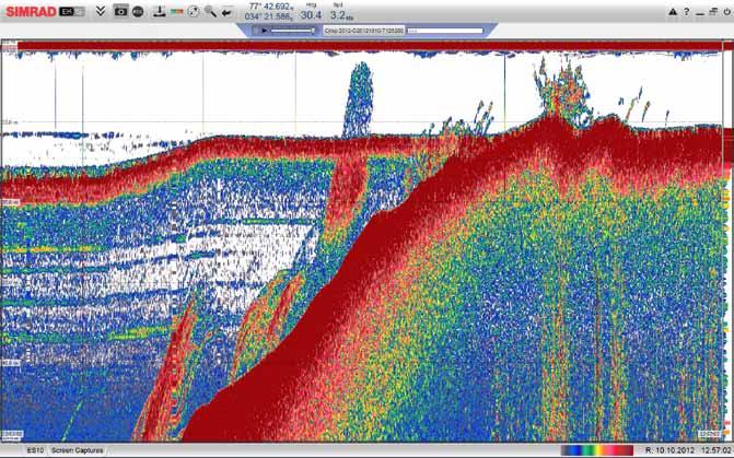 Figure 5.4. Echosounder image showing the trawl settling on the seabed. Fish can be observed above and below the groundgear. ment pod designs have been built and tested onboard purse seine vessels.