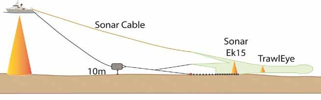 Figure 5.10. Rigging of the semipelagic trawl with the doors 10 m above seabed. Figure 5.11.