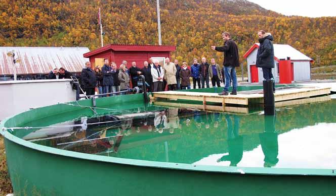 Norges Sildesalgslag (NSS, Norwegian Fishermen s Sales Association for Pelagic Fish) is Europe s largest marketplace for first-hand sales of pelagic species.