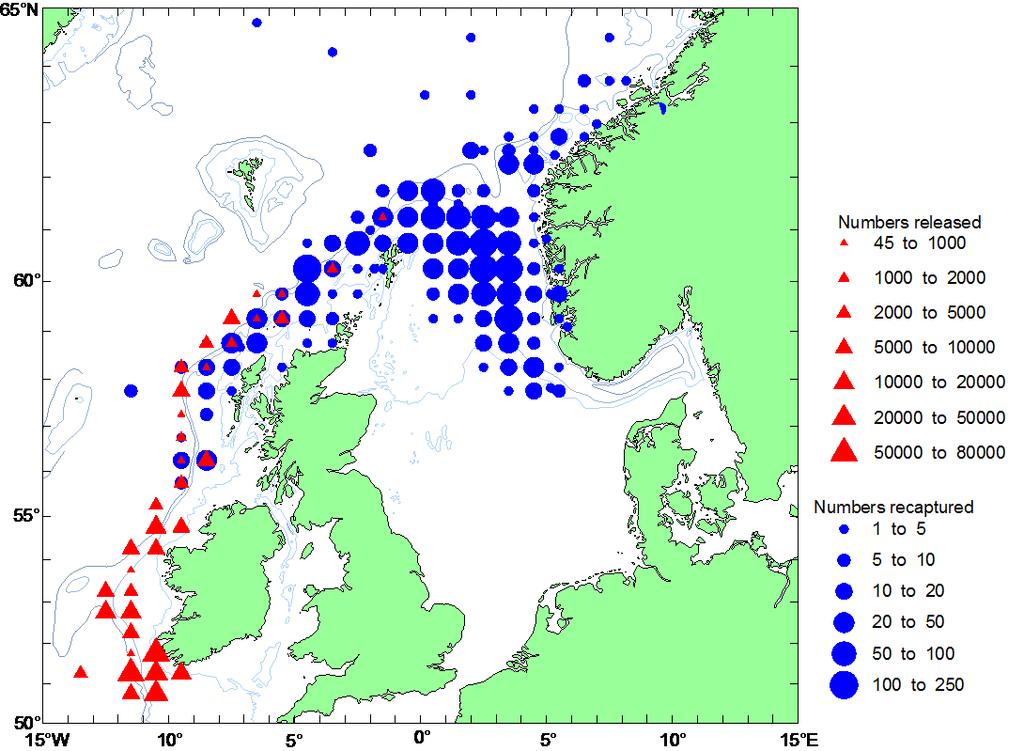 Tagging and recapture methodology for mackerel Estimation from the steal tags has indicated different development in the abundance of mackrel compared to official ICES results ICES has now accepted