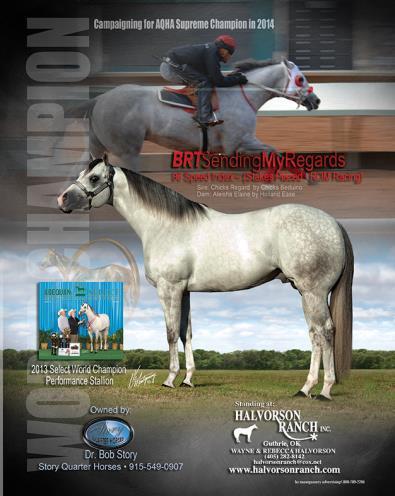 2016 World Show Qual in Open Halter and Ranch Riding, Lev 2. Open Performance ROM, Halter ROM, Racing ROM. BHF Open division stallion nominee.