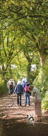 Bolton Breightmet walk 3 Get Active, Bolton Council Sunday 29 October, 10.30am This walk explores Leverhulme Park and surrounding areas including Star Mount and Moses Gate Country park.