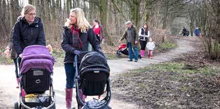 Salford Salford October forage Salford City Council, Bridgewater Canal Team Tuesday 24 October, 10am Meet a local foraging expert from Discover the Wild and enjoy a walk around Duke's Drive and